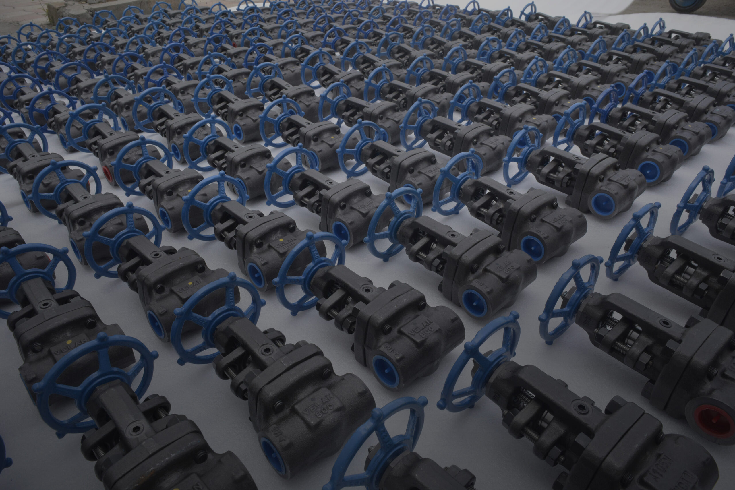 A large collection of industrial valves with blue handwheels is arranged neatly in rows on a light-colored surface. The valves are made of metal and appear to be identical, creating a pattern with their uniform design and color.